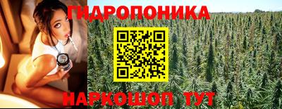 jwh Бийск