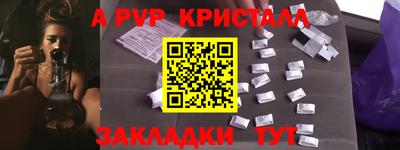 спайс Берёзовский