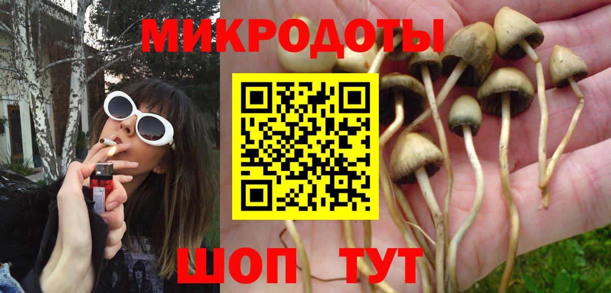 Марихуана Кизилюрт