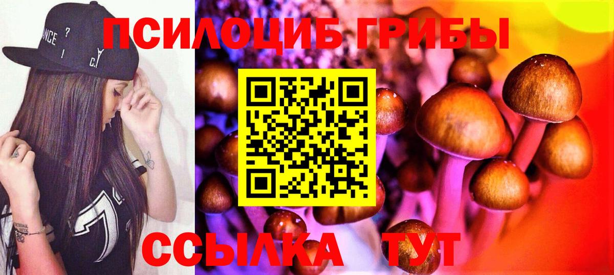 Псилоцибиновые грибы прущие грибы Кизилюрт