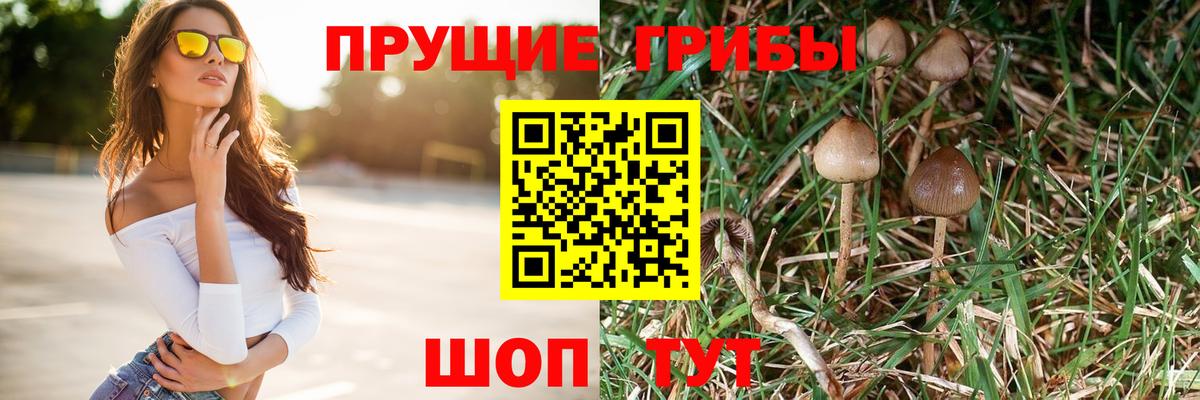 Галлюциногенные грибы GOLDEN TEACHER  Вход с VPN  закладки  Галлюциногенные грибы мицелий  Кизилюрт 